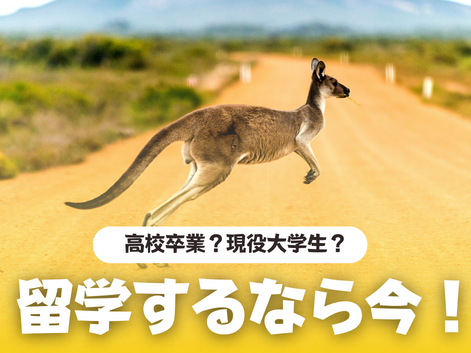 オーストラリア　留学　高校卒業　大学生　大学　SOL留学